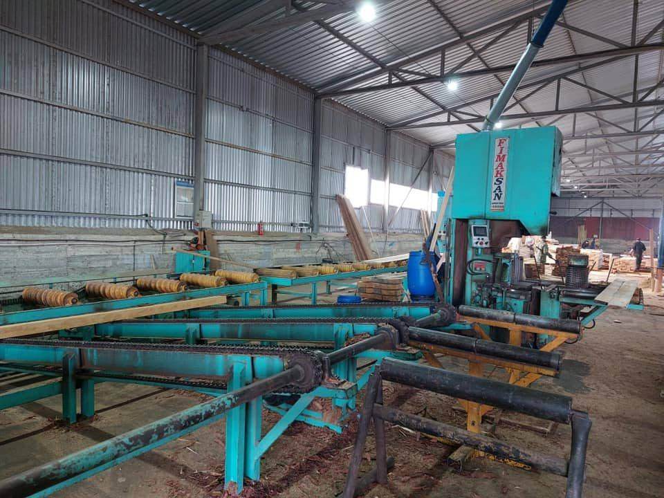 Used FIMAKSAN Double-Line Sawmill Package (100 m³/day) – For Sale
