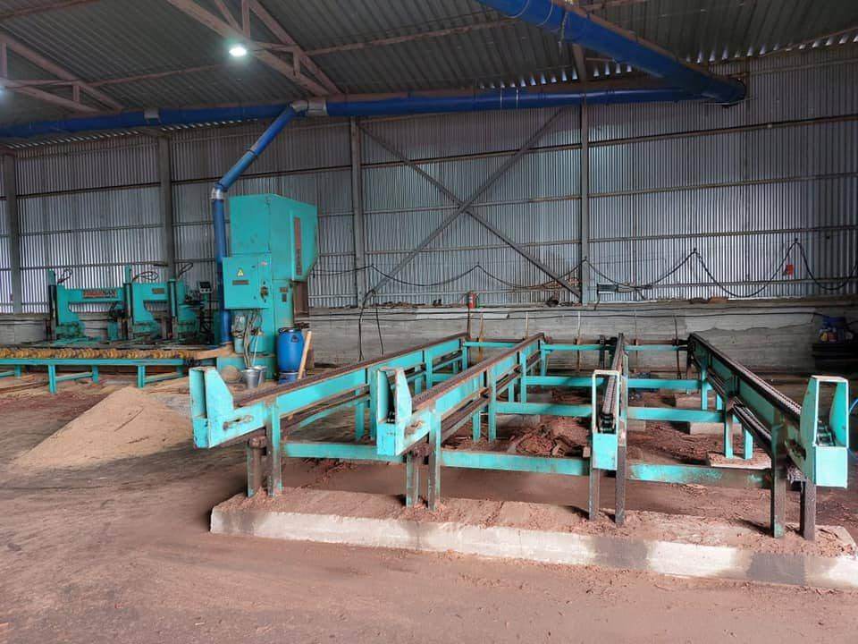 Used FIMAKSAN Double-Line Sawmill Package (100 m³/day) – For Sale